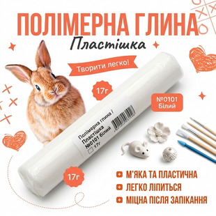 Полімерна глина Пластішка №ANS-0101-17г-3 , 17 г ANS-0101-17г-3 фото